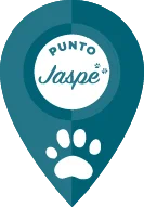 Punto Jaspe