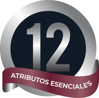 Logo 12 atributos