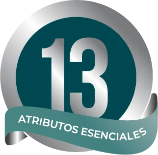 Logo 13 atributos