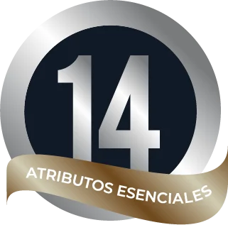 Logo 14 atributos