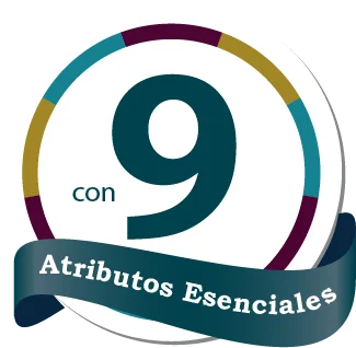 Logo 9 atributos