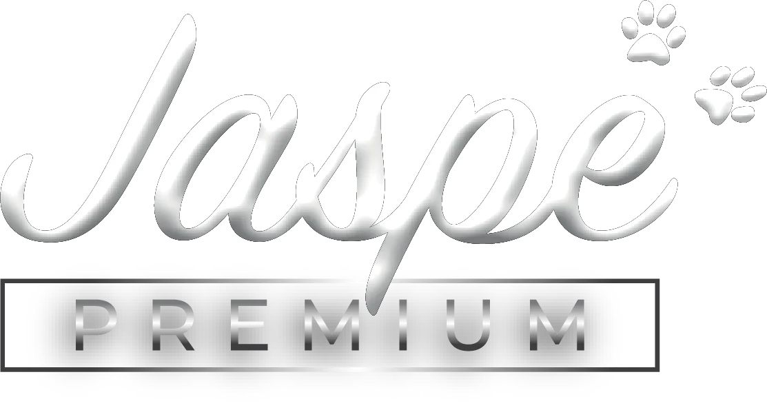 Logo Jaspe Premium