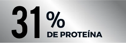 31% Proteína