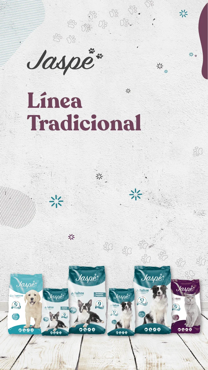 Línea-Tradicional