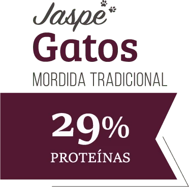 Tradicional-Gatos